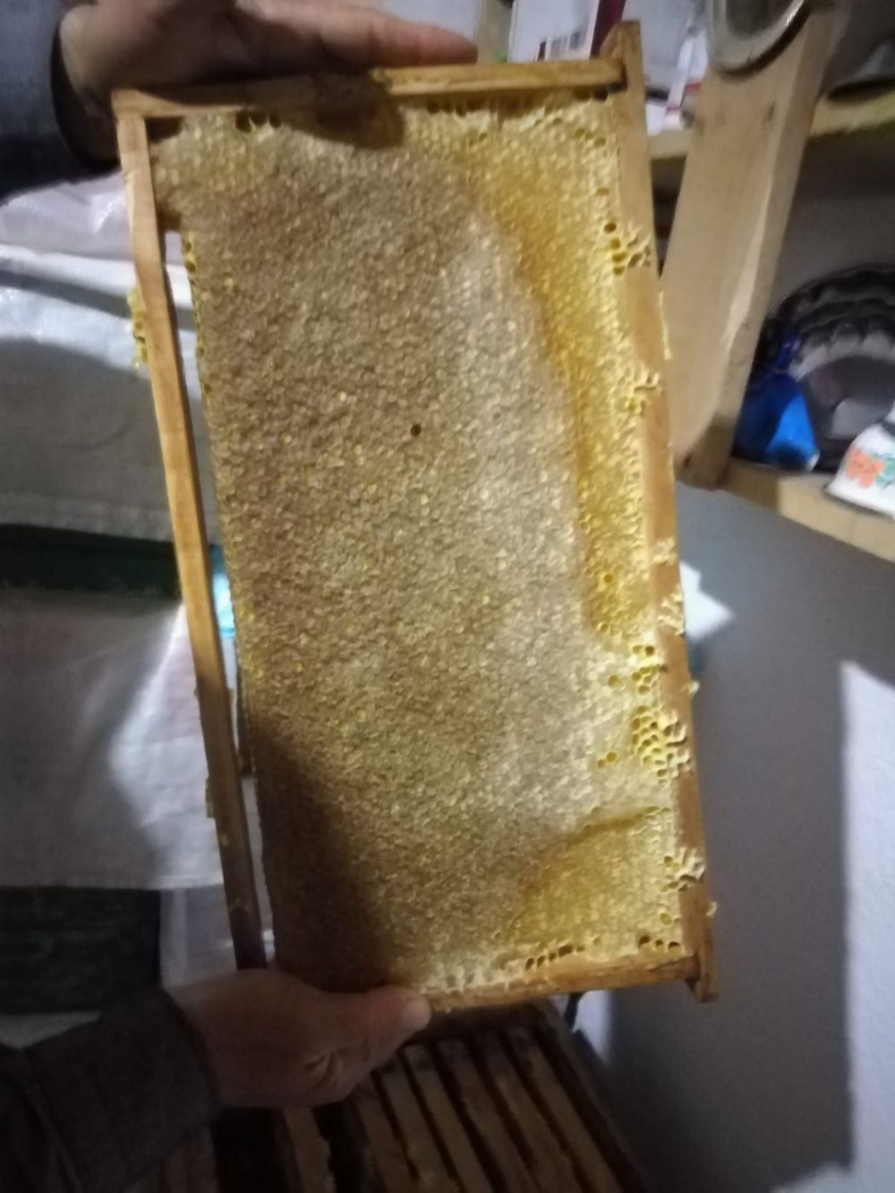 Do�al Sivas Bal� Sat���